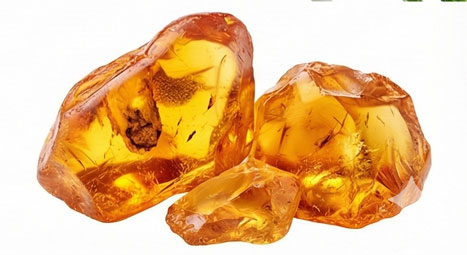 کهربا (Amber)