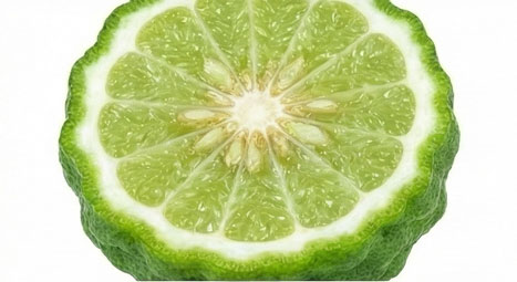 ترنج