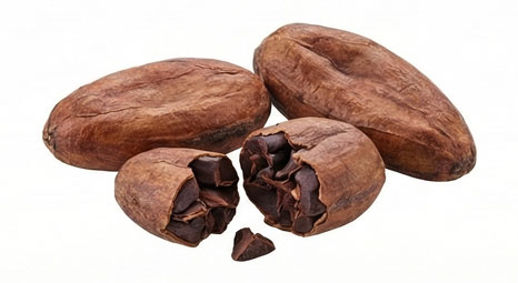 دانه کاکائو