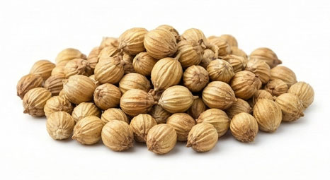 تخم گشنیز
