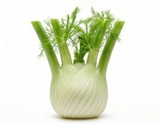 رازیانه (Fennel)