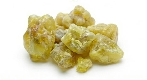صمغ گالبانیوم (باریجه)
