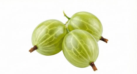 انگور فرنگی (Gooseberry)