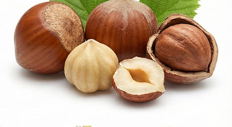 فندق