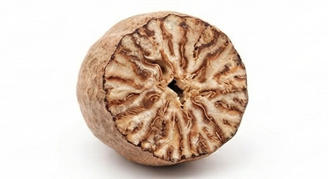 جوتهندی