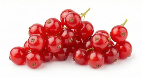 انگور فرنگی قرمز (Red Currant)