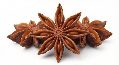 بادیان ختایی (Star Anise)