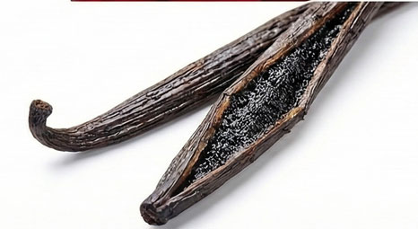 وانیل