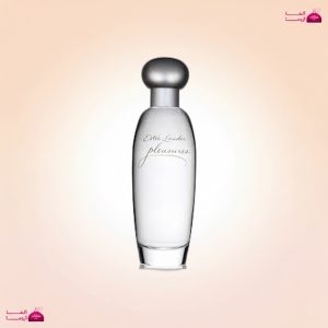 استی لودر پلژر