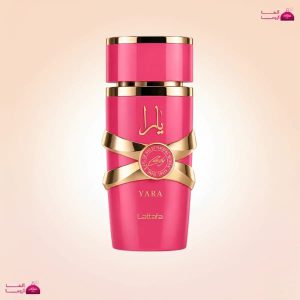 لطافه یارا کندی